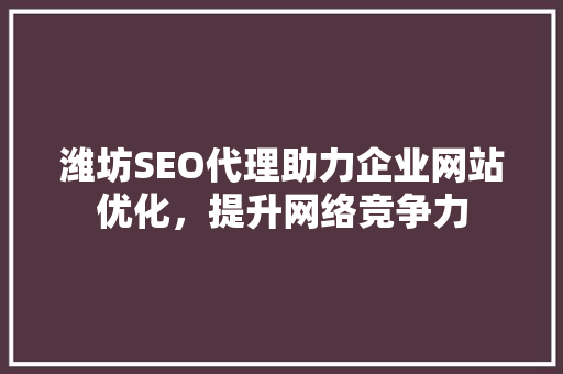 潍坊SEO代理助力企业网站优化，提升网络竞争力