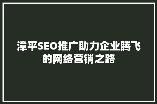 漳平SEO推广助力企业腾飞的网络营销之路