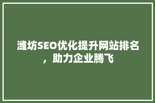 潍坊SEO优化提升网站排名，助力企业腾飞