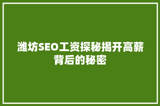 潍坊SEO工资探秘揭开高薪背后的秘密