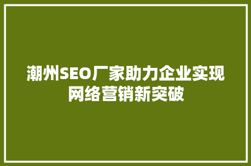 潮州SEO厂家助力企业实现网络营销新突破