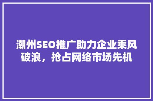 潮州SEO推广助力企业乘风破浪，抢占网络市场先机