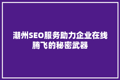 潮州SEO服务助力企业在线腾飞的秘密武器