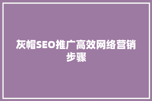 灰帽SEO推广高效网络营销步骤