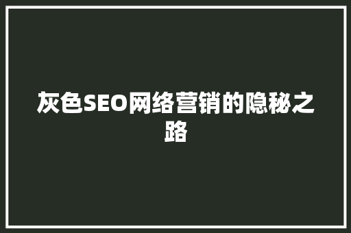 灰色SEO网络营销的隐秘之路