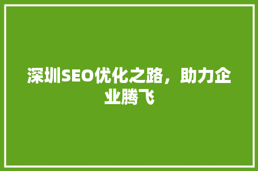 深圳SEO优化之路，助力企业腾飞