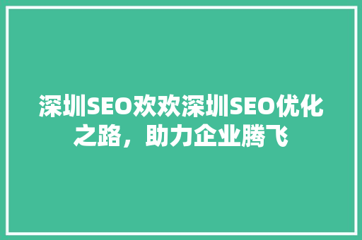 深圳SEO欢欢深圳SEO优化之路，助力企业腾飞