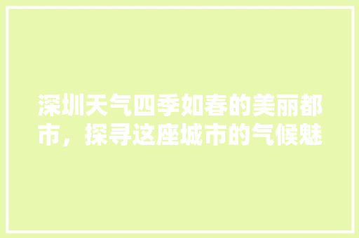 深圳天气四季如春的美丽都市，探寻这座城市的气候魅力