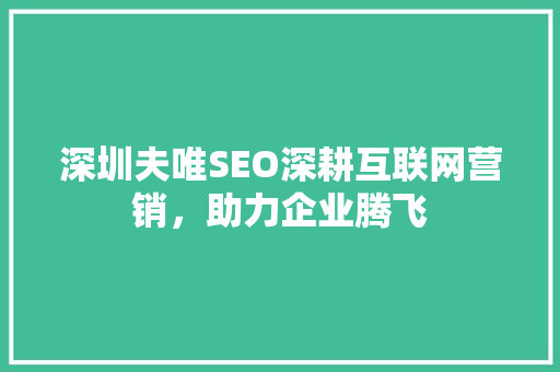 深圳夫唯SEO深耕互联网营销，助力企业腾飞