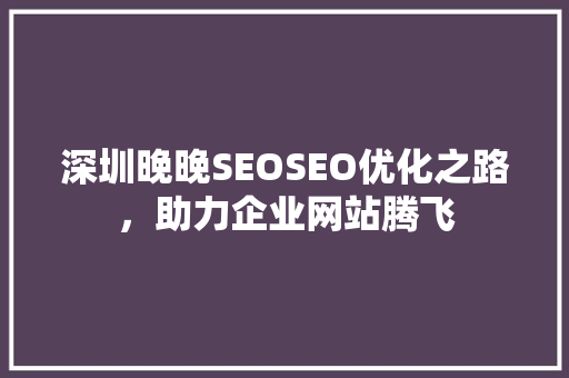 深圳晚晚SEOSEO优化之路，助力企业网站腾飞