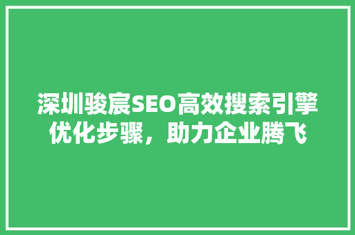 深圳骏宸SEO高效搜索引擎优化步骤，助力企业腾飞