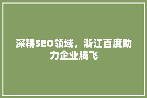 深耕SEO领域，浙江百度助力企业腾飞