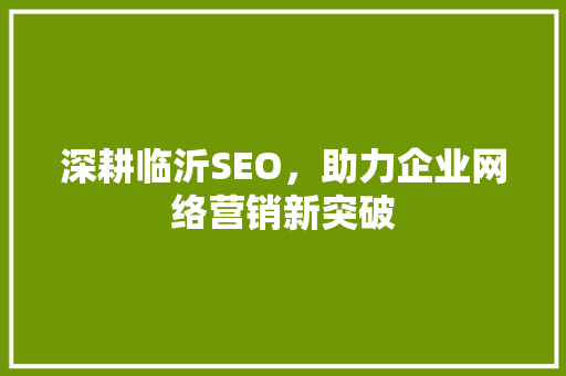 深耕临沂SEO，助力企业网络营销新突破