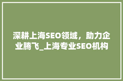 深耕上海SEO领域，助力企业腾飞_上海专业SEO机构如何提升网站排名