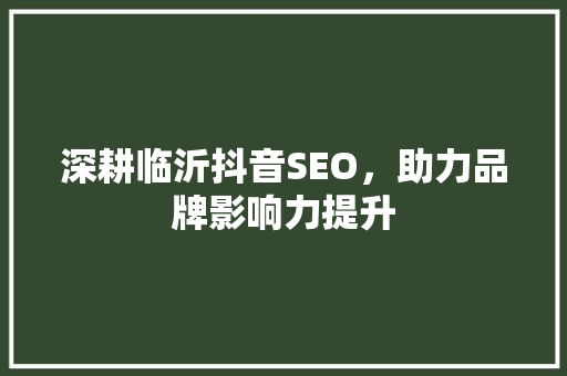 深耕临沂抖音SEO，助力品牌影响力提升