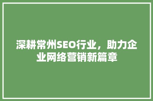 深耕常州SEO行业，助力企业网络营销新篇章