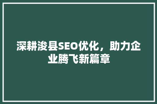 深耕浚县SEO优化，助力企业腾飞新篇章