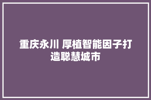 重庆永川 厚植智能因子打造聪慧城市