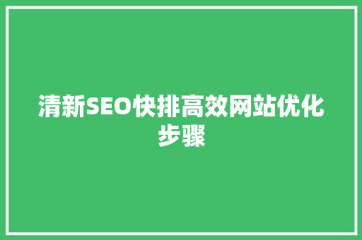 清新SEO快排高效网站优化步骤