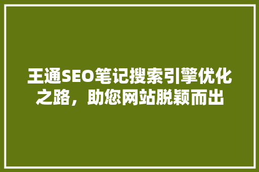 王通SEO笔记搜索引擎优化之路，助您网站脱颖而出