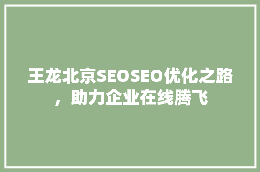 王龙北京SEOSEO优化之路，助力企业在线腾飞