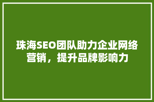 珠海SEO团队助力企业网络营销，提升品牌影响力