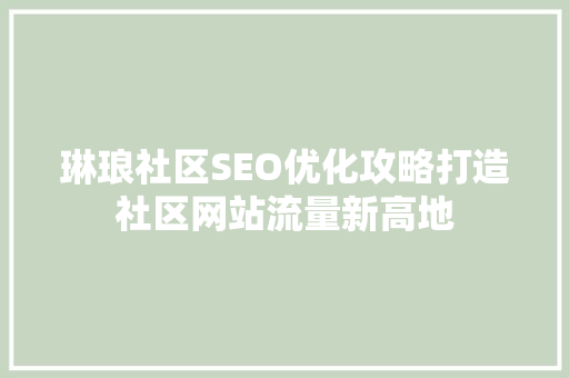 琳琅社区SEO优化攻略打造社区网站流量新高地