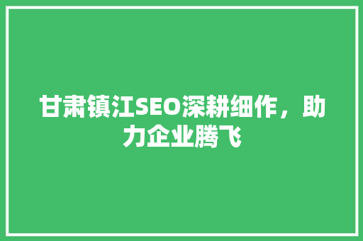 甘肃镇江SEO深耕细作，助力企业腾飞