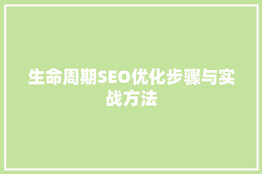 生命周期SEO优化步骤与实战方法