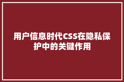 用户信息时代CSS在隐私保护中的关键作用