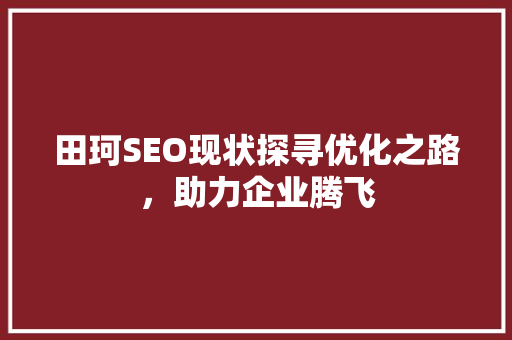 田珂SEO现状探寻优化之路，助力企业腾飞