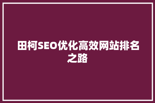 田柯SEO优化高效网站排名之路