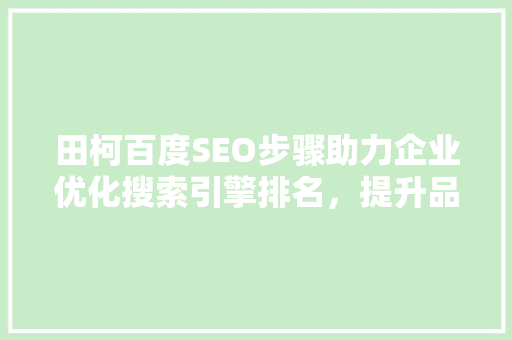 田柯百度SEO步骤助力企业优化搜索引擎排名，提升品牌影响力