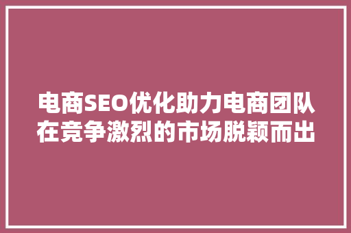 电商SEO优化助力电商团队在竞争激烈的市场脱颖而出