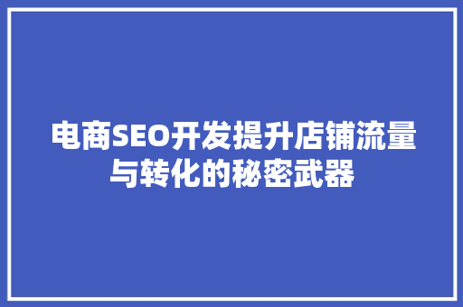 电商SEO开发提升店铺流量与转化的秘密武器