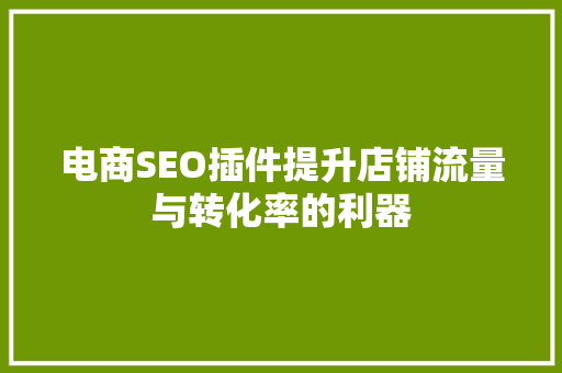 电商SEO插件提升店铺流量与转化率的利器