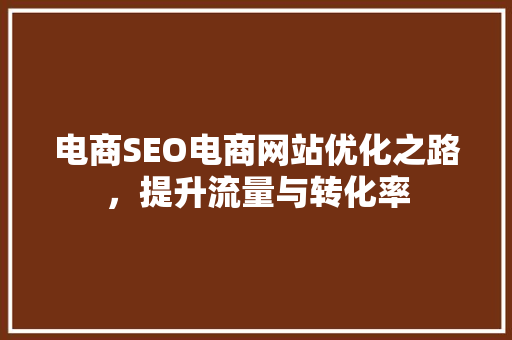 电商SEO电商网站优化之路，提升流量与转化率