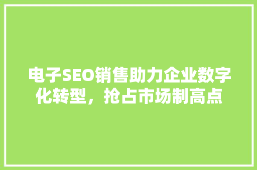 电子SEO销售助力企业数字化转型，抢占市场制高点