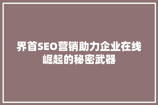 界首SEO营销助力企业在线崛起的秘密武器