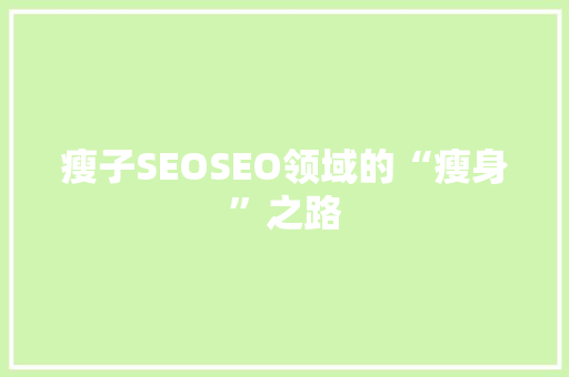 瘦子SEOSEO领域的“瘦身”之路