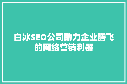 白冰SEO公司助力企业腾飞的网络营销利器