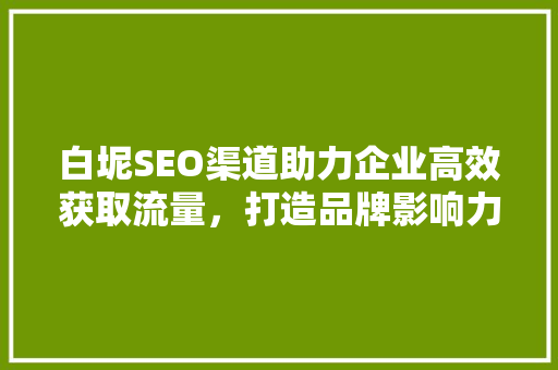 白坭SEO渠道助力企业高效获取流量，打造品牌影响力