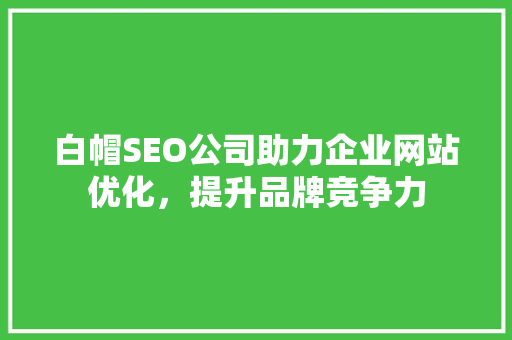 白帽SEO公司助力企业网站优化，提升品牌竞争力