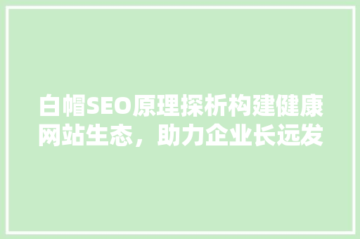 白帽SEO原理探析构建健康网站生态，助力企业长远发展