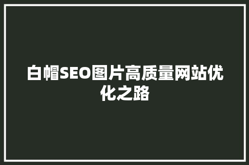 白帽SEO图片高质量网站优化之路