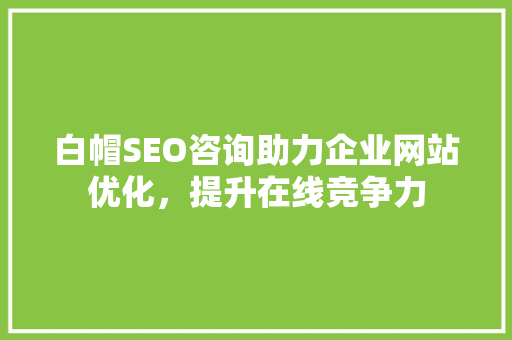 白帽SEO咨询助力企业网站优化，提升在线竞争力