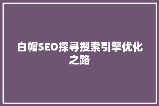 白帽SEO探寻搜索引擎优化之路