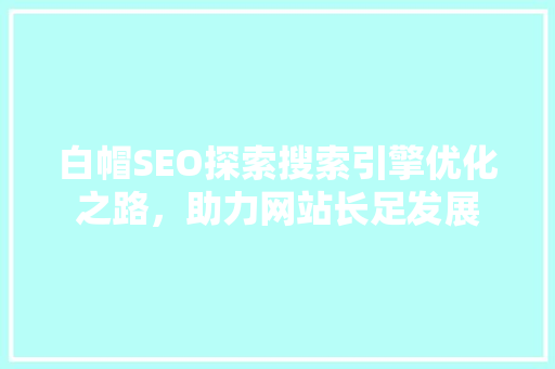 白帽SEO探索搜索引擎优化之路，助力网站长足发展