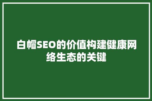 白帽SEO的价值构建健康网络生态的关键