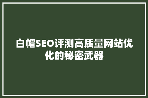 白帽SEO评测高质量网站优化的秘密武器